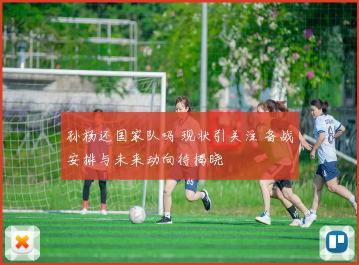 孙杨还国家队吗 现状引关注 备战安排与未来动向待揭晓