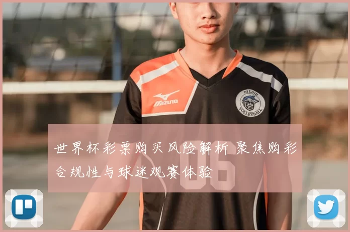 世界杯彩票购买风险解析 聚焦购彩合规性与球迷观赛体验