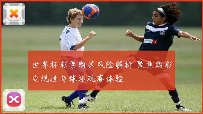 世界杯彩票购买风险解析 聚焦购彩合规性与球迷观赛体验