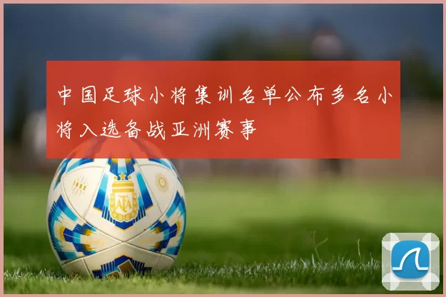 中国足球小将集训名单公布多名小将入选备战亚洲赛事