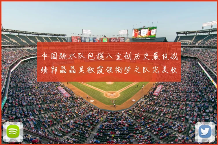 中国跳水队包揽八金创历史最佳战绩郭晶晶吴敏霞领衔梦之队完美收官