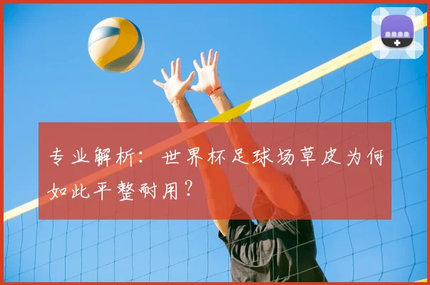 专业解析：世界杯足球场草皮为何如此平整耐用？