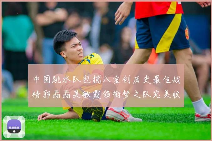 中国跳水队包揽八金创历史最佳战绩郭晶晶吴敏霞领衔梦之队完美收官