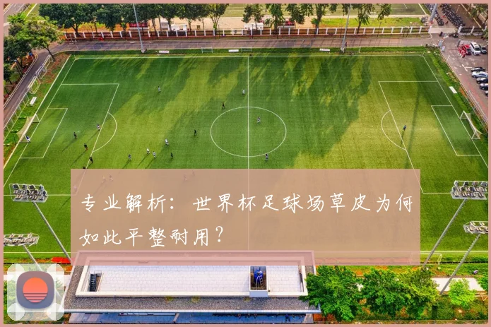 专业解析：世界杯足球场草皮为何如此平整耐用？