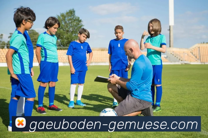 App Interface Preview