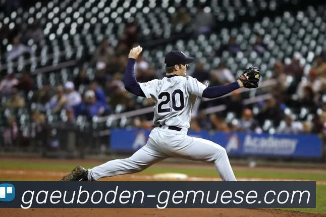 mk官网入口APP 封面图